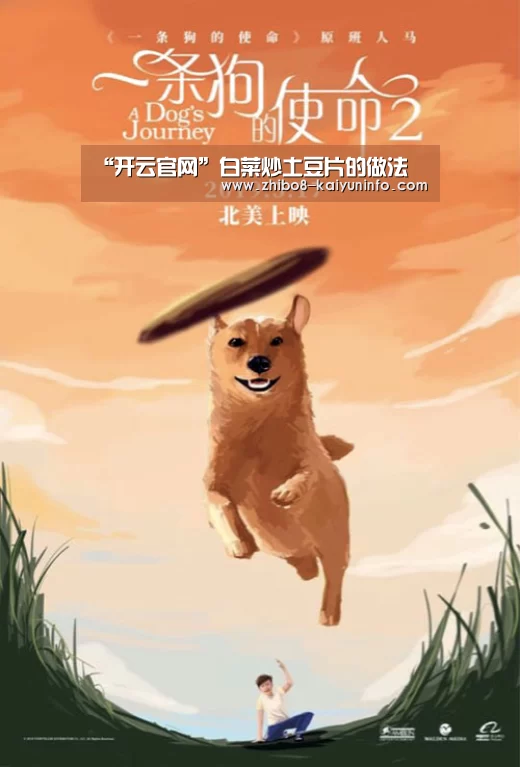 开云体育官网